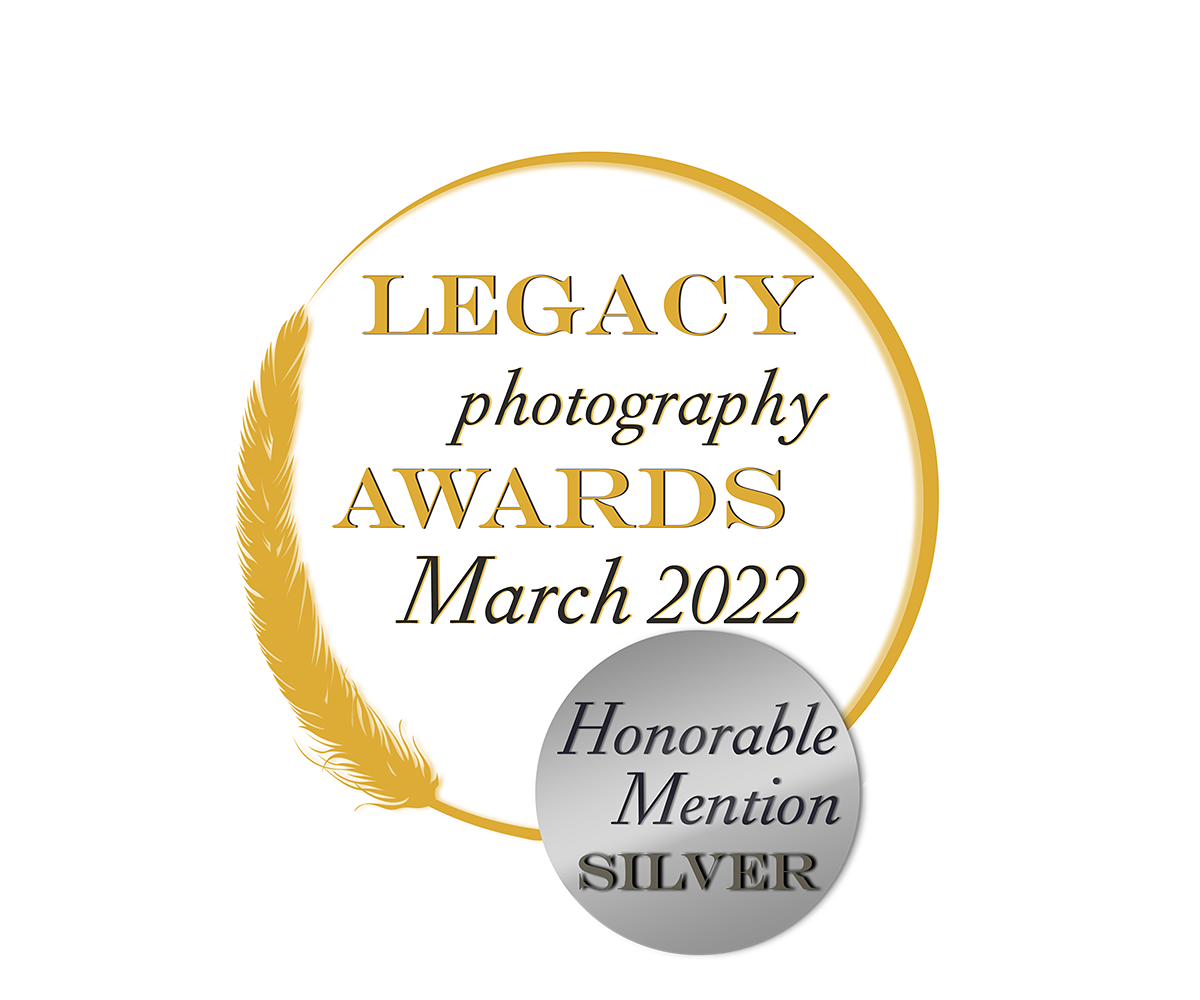 Honorable Mention Silver