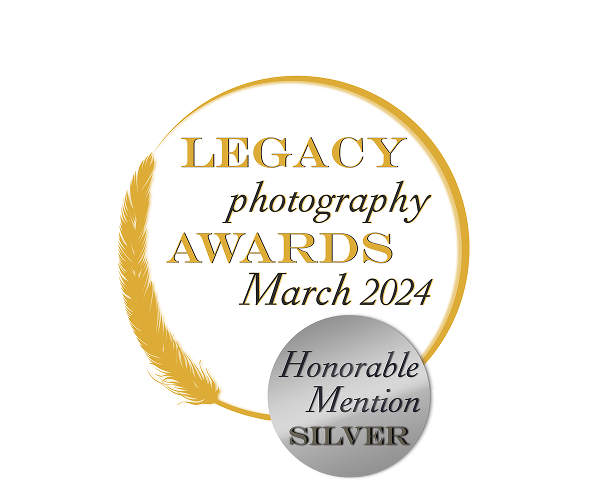 Honorable mention silver (2)